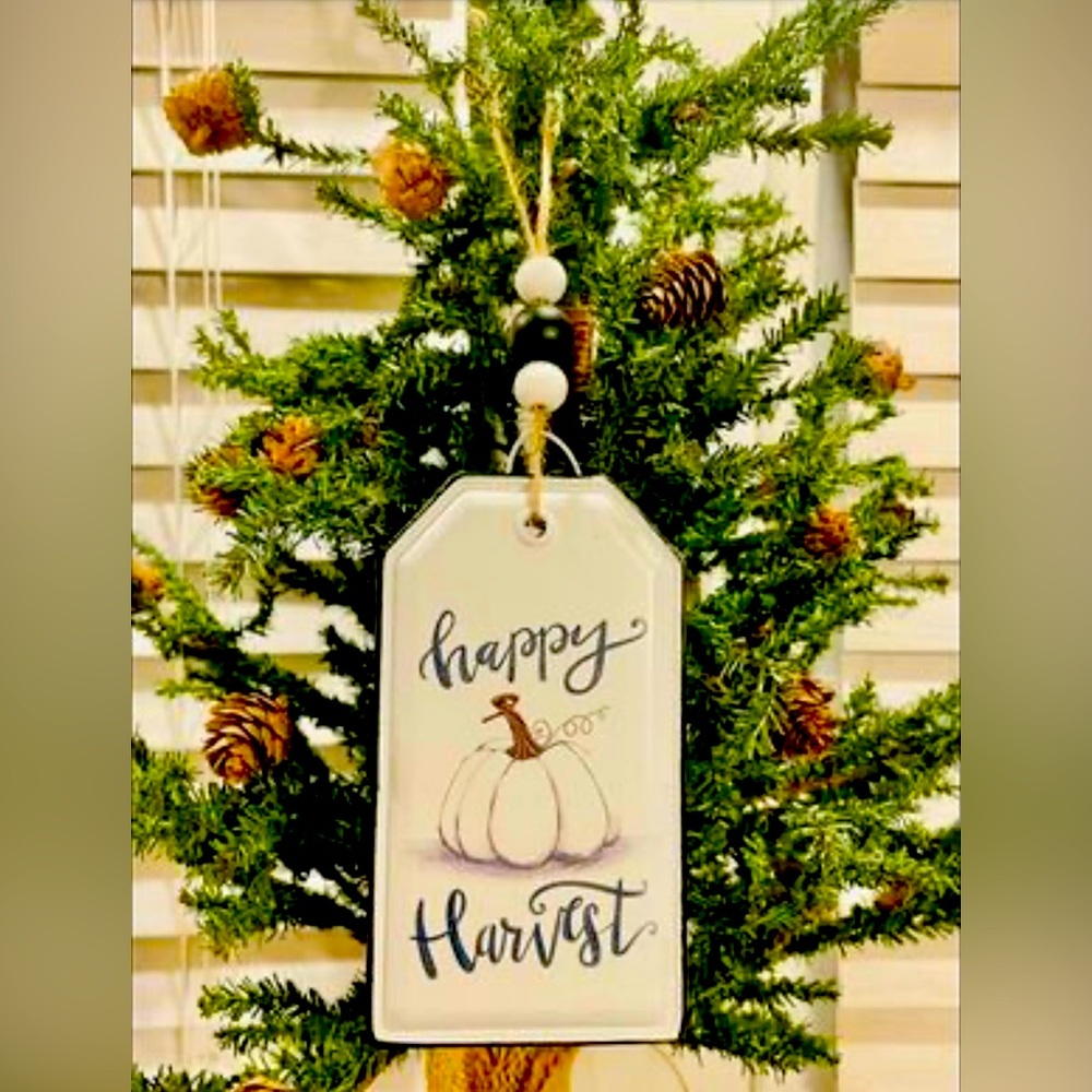*Happy Harvest Pumpkin Enamel Beaded Tag